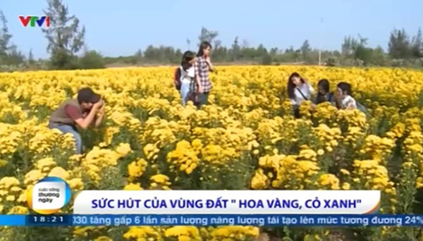 Bạn trẻ đổ xô khám phá vùng đất “Tôi thấy hoa vàng trên cỏ xanh”