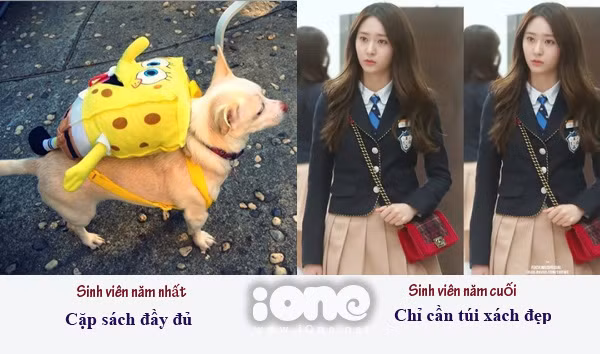 khac-biet-giua-sinh-vien-nam-nhat-va-nam-cuoi-3