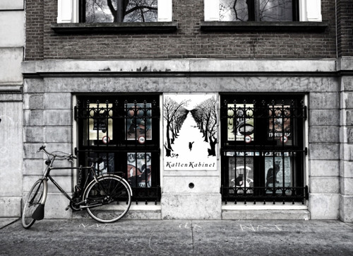 Amsterdam có nhiều bảo tàng độc đáo như: bảo tàng mèo, bảo tàng mắt kính… đặc biệt là bảo tàng bia, mang lại những phút giây thư giãn cho du khách. polyad