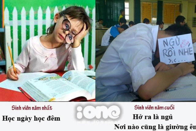 Khác biệt giữa sinh viên năm nhất và năm cuối