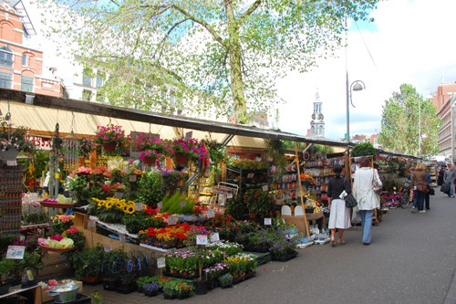 Thả bộ đến các gian hàng ởBloemenmarkt nằm sát kênh, du khách sẽ bị quyến rũ bởi màu sắc và hương thơm của các loài hoa ở đây. polyad