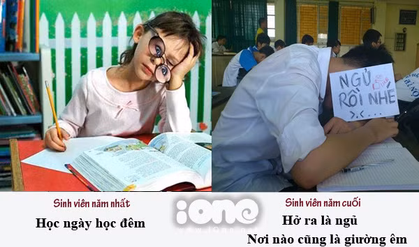 khac-biet-giua-sinh-vien-nam-nhat-va-nam-cuoi-1