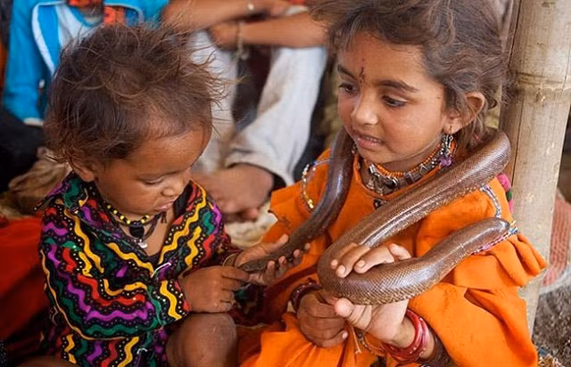 “Tim đập chân run” vào nơi học chỉ có người và rắn