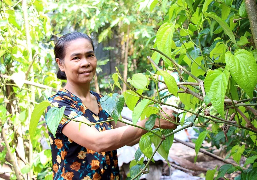 Người phụ nữ gần 25 năm không ăn cơm vẫn sống khoẻ