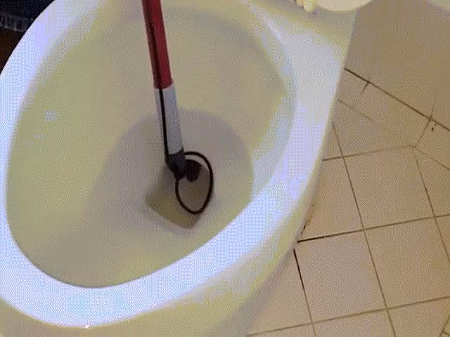 chuan bi di tam, co gai hoang hon thay ran khung trong toilet hinh anh 2