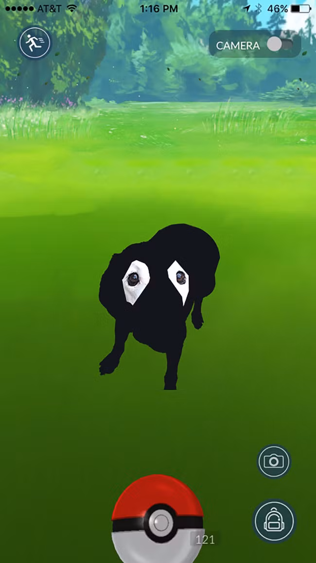 Xem loạt ảnh chế của chú chó này mới thấy sinh ra có đôi mắt gấu trúc cũng là cái tội - Ảnh 7.