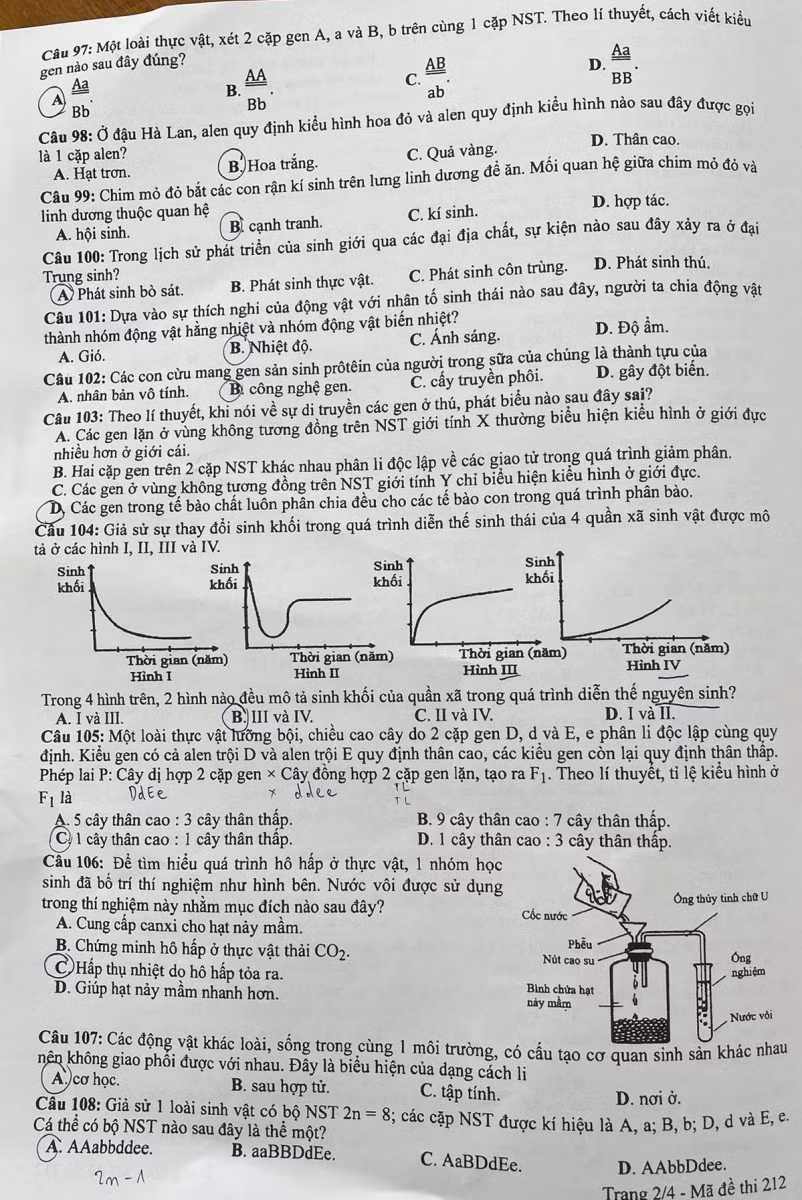 Gợi ý đáp án môn Sinh học thi tốt nghiệp THPT năm 2021 ảnh 14