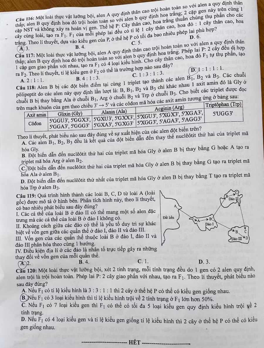 Gợi ý đáp án môn Sinh học thi tốt nghiệp THPT năm 2021 ảnh 16