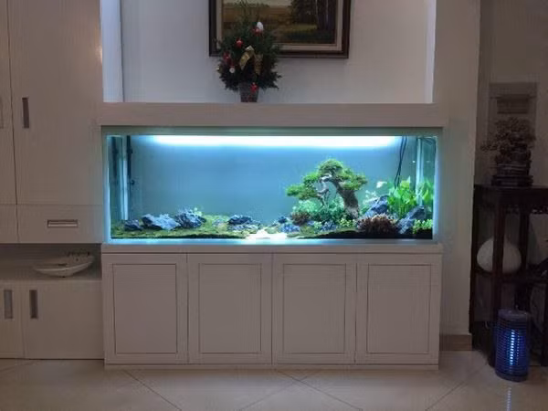 4 vị trí cấm kị đặt bể cá trong nhà nhiều người không biết