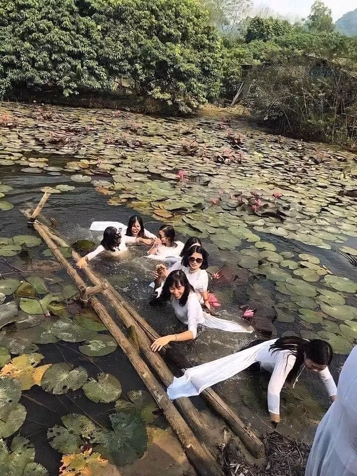 Chụp trên cầu tre quen rồi, làm kiểu tập thể này cho độc lạ nhớ đời.