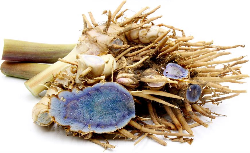 Nghệ đen và mật ong - Thần dược chữa đau dạ dày ảnh 1 Nghệ đen và mật ong - Thần dược chữa đau dạ dày ảnh 1