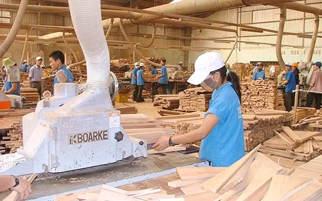 Loay hoay “đầu ra” cho… gỗ