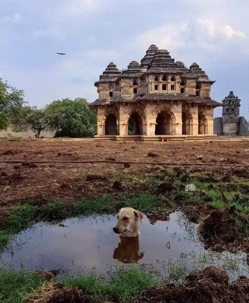 Spa ngoài trời, không gian tuyệt vời. Spa ngoài trời, không gian tuyệt vời.