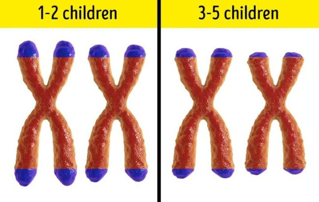 6 su that thu vi ve phu nu ma chinh phai dep phai kinh ngac