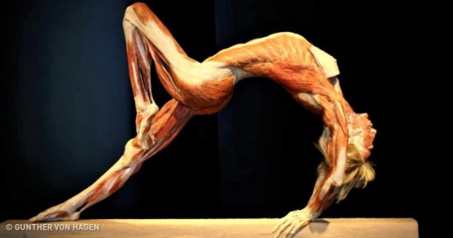 6 su that thu vi ve phu nu ma chinh phai dep phai kinh ngac