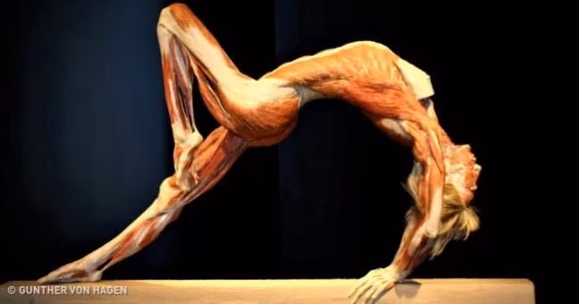 6 su that thu vi ve phu nu ma chinh phai dep phai kinh ngac