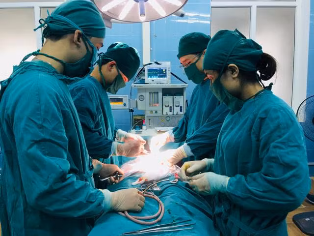 Các bác sĩ tiến hành phẫu thuật cắt bỏ khối u xơ tử cung