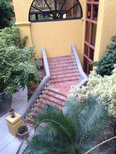 Cầu thang ngoài trời lãng mạn với cây xanh xung quanh nhưng không có người đi lại. nhung-thiet-ke-cau-thang-ton-tien-nhung-de-gay-hoa-2