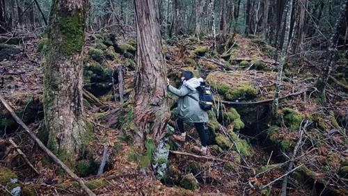 Lan Uyên một mình khám phá khu rừng tự sát.