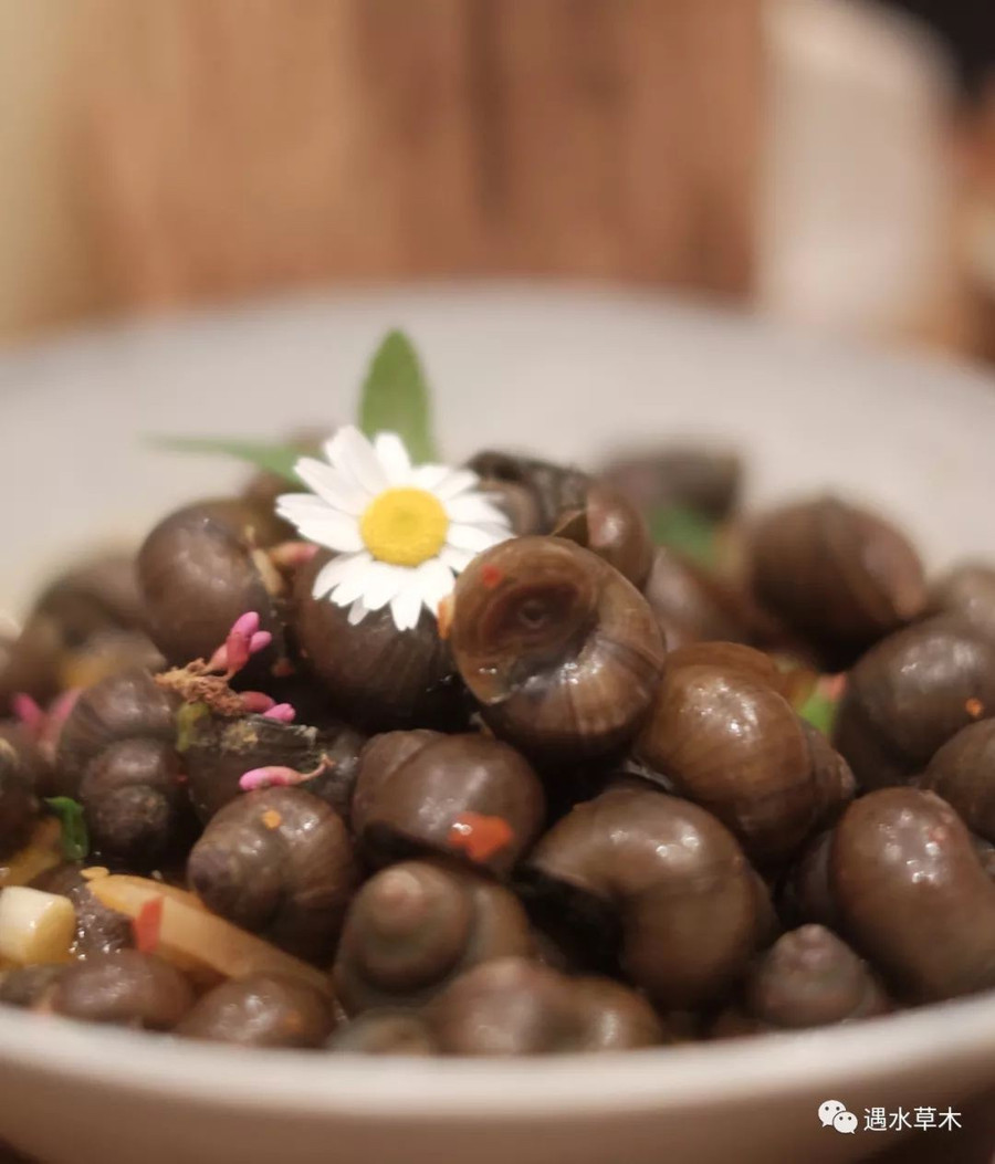 cuoc song than tien cua chang trai doc than 32 cuoc song than tien cua chang trai doc than 32