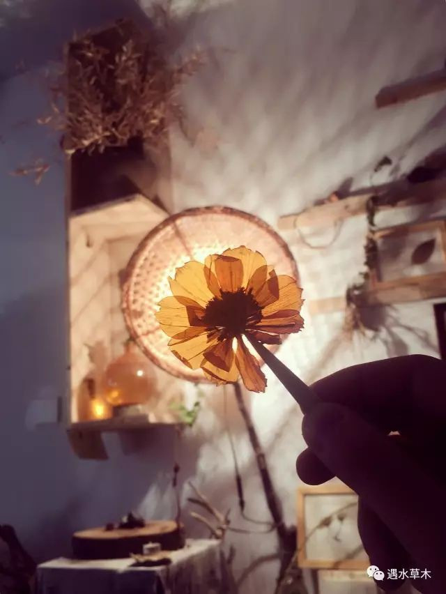 Cuộc sống thần tiên của chàng trai độc thân trong căn biệt thự cổ rộng 300m² ở vùng quê yên bình - Ảnh 19. Cuộc sống thần tiên của chàng trai độc thân trong căn biệt thự cổ rộng 300m² ở vùng quê yên bình - Ảnh 19.