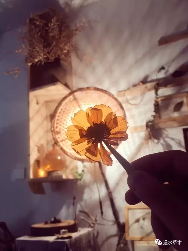 Cuộc sống thần tiên của chàng trai độc thân trong căn biệt thự cổ rộng 300m² ở vùng quê yên bình - Ảnh 19.