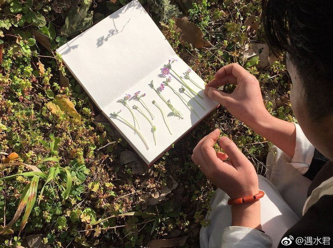 Cuộc sống thần tiên của chàng trai độc thân trong căn biệt thự cổ rộng 300m² ở vùng quê yên bình - Ảnh 5. Cuộc sống thần tiên của chàng trai độc thân trong căn biệt thự cổ rộng 300m² ở vùng quê yên bình - Ảnh 5.