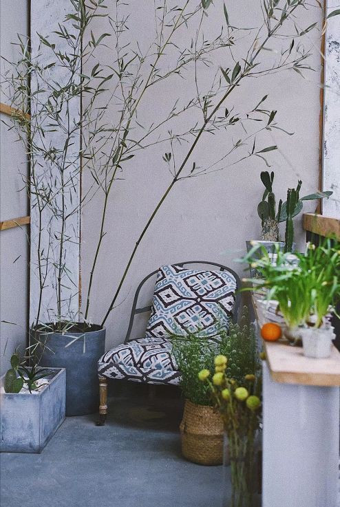 cuoc song than tien cua chang trai doc than 26 cuoc song than tien cua chang trai doc than 26