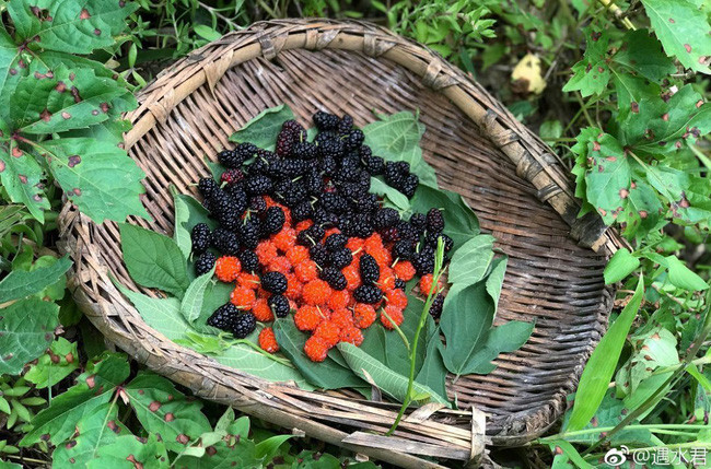 Cuộc sống thần tiên của chàng trai độc thân trong căn biệt thự cổ rộng 300m² ở vùng quê yên bình - Ảnh 4. Cuộc sống thần tiên của chàng trai độc thân trong căn biệt thự cổ rộng 300m² ở vùng quê yên bình - Ảnh 4.