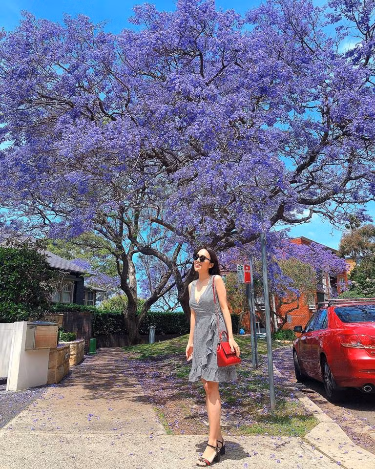 9X Viet noi duoc 6 thu tieng, lam giao vien o Australia hinh anh 5