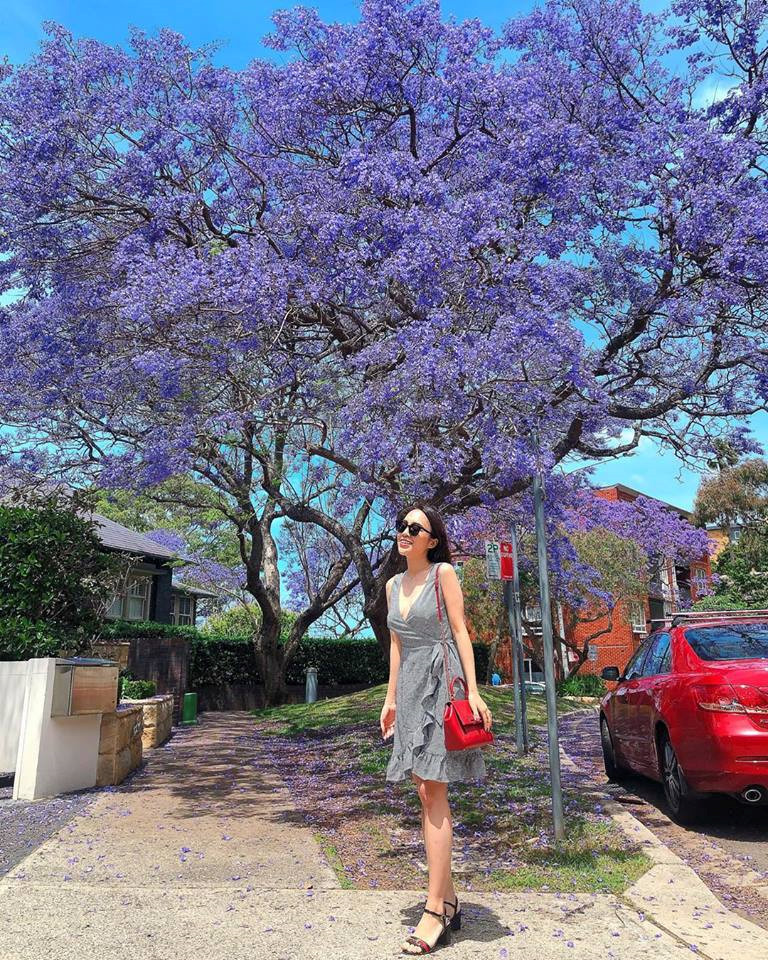 9X Việt nói được 6 thứ tiếng, làm giáo viên ở Australia hình ảnh 5  9X Viet noi duoc 6 thu tieng, lam giao vien o Australia hinh anh 5