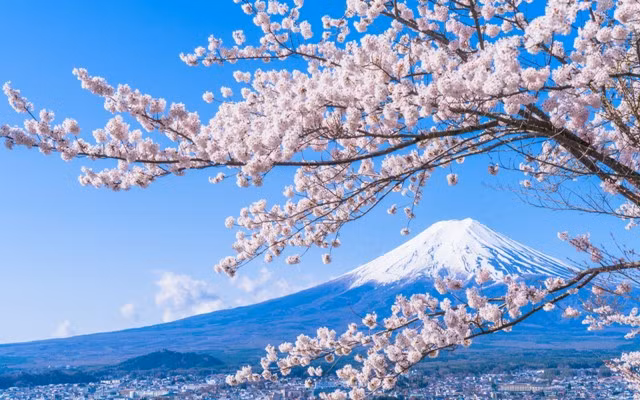  Đại sứ quán Nhật Bản thông báo về kết quả tuyển chọn lưu học sinh 