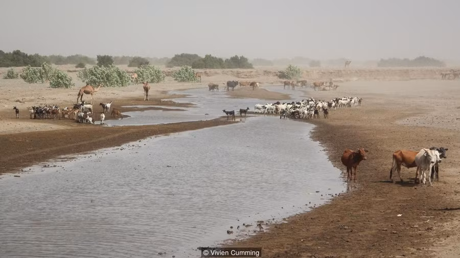 Chuyện lạ ở “cổng địa ngục” khắc nghiệt nhất thế giới