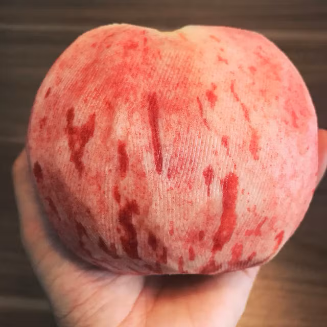  Có quả đào tiên nặng tới 1kg 