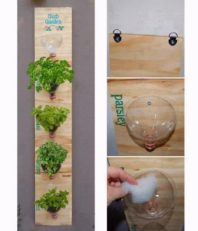 Bạn đã biết đến 13 ý tưởng trồng cây xanh từ đồ vật cũ để trang trí nhà cực đẹp mắt chưa? - Ảnh 6.