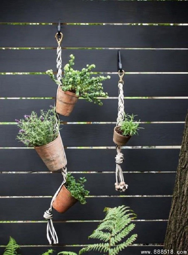 Bạn đã biết đến 13 ý tưởng trồng cây xanh từ đồ vật cũ để trang trí nhà cực đẹp mắt chưa? - Ảnh 12. Bạn đã biết đến 13 ý tưởng trồng cây xanh từ đồ vật cũ để trang trí nhà cực đẹp mắt chưa? - Ảnh 12.