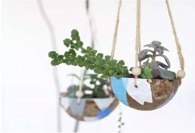 Bạn đã biết đến 13 ý tưởng trồng cây xanh từ đồ vật cũ để trang trí nhà cực đẹp mắt chưa? - Ảnh 8. Bạn đã biết đến 13 ý tưởng trồng cây xanh từ đồ vật cũ để trang trí nhà cực đẹp mắt chưa? - Ảnh 8.