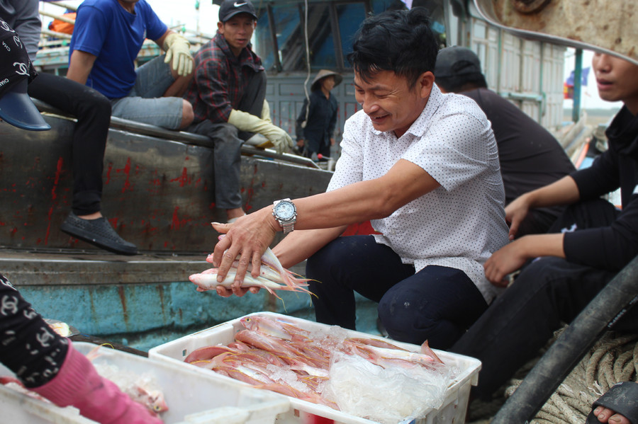 Anh Trần Phú Cường - chủ tàu cá ở Hoằng Trường (áo trắng) cho biết, để đánh bắt cá lưỡng hồng phải đi xa bờ khoảng 50 hải lý, thậm chí có chuyến phải đi cách bờ 100 hải lý. Thời gian dễ bắt được cá nhất vào ban đêm khi thuỷ triều xuống. Ảnh: LT.