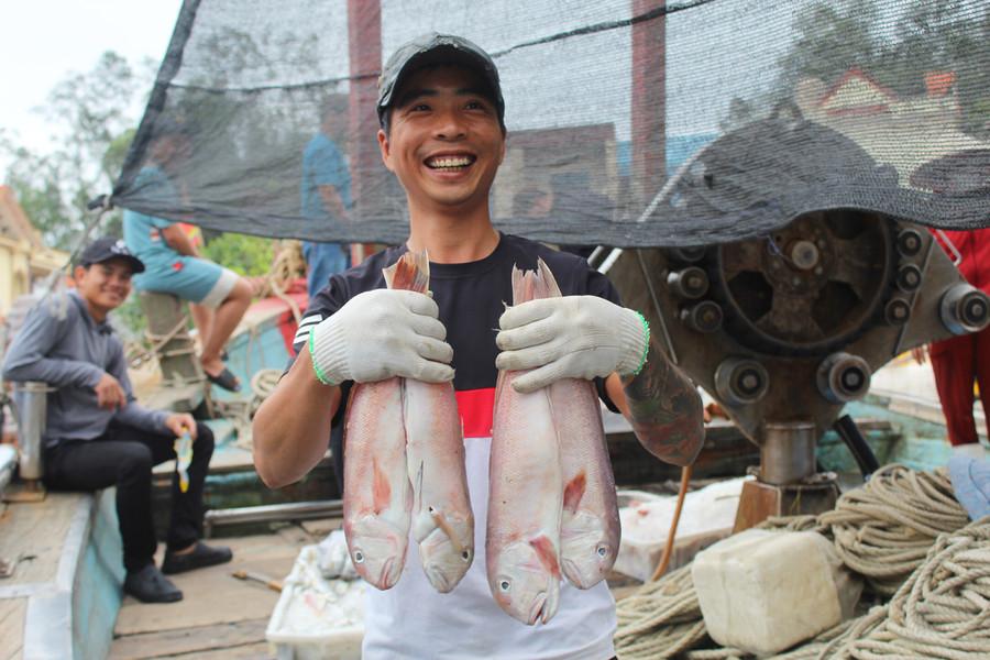 Niềm vui của thuyền viên khi trúng mùa cá lưỡng hồng. Ảnh: LT.