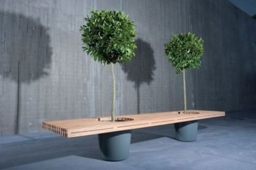 Cây và ghế là sự kết hợp đầy chất thơ