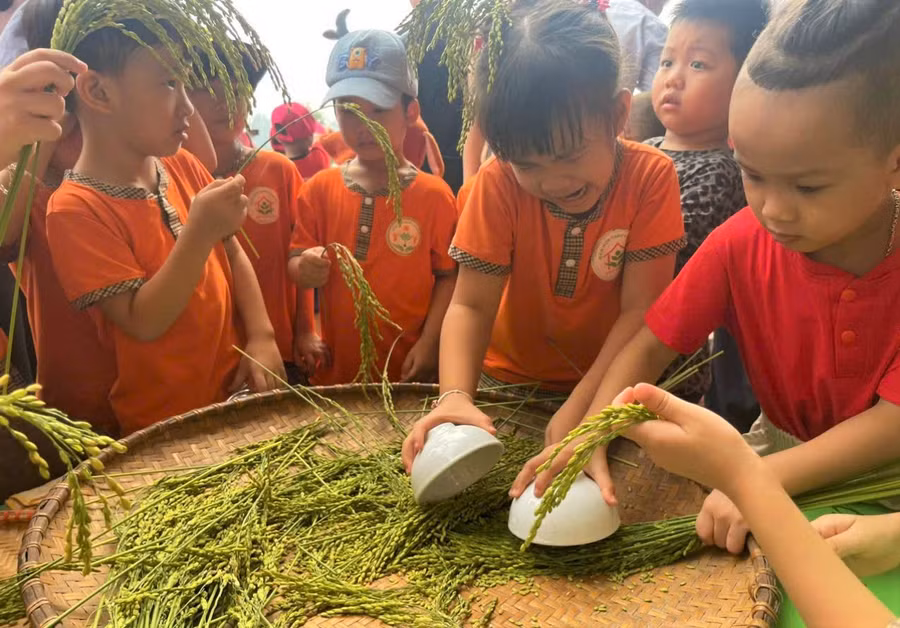 Trẻ tự tay tách hạt thóc để làm cốm. Trẻ tự tay tách hạt thóc để làm cốm.