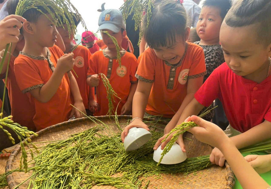 Trẻ tự tay tách hạt thóc để làm cốm. Trẻ tự tay tách hạt thóc để làm cốm.