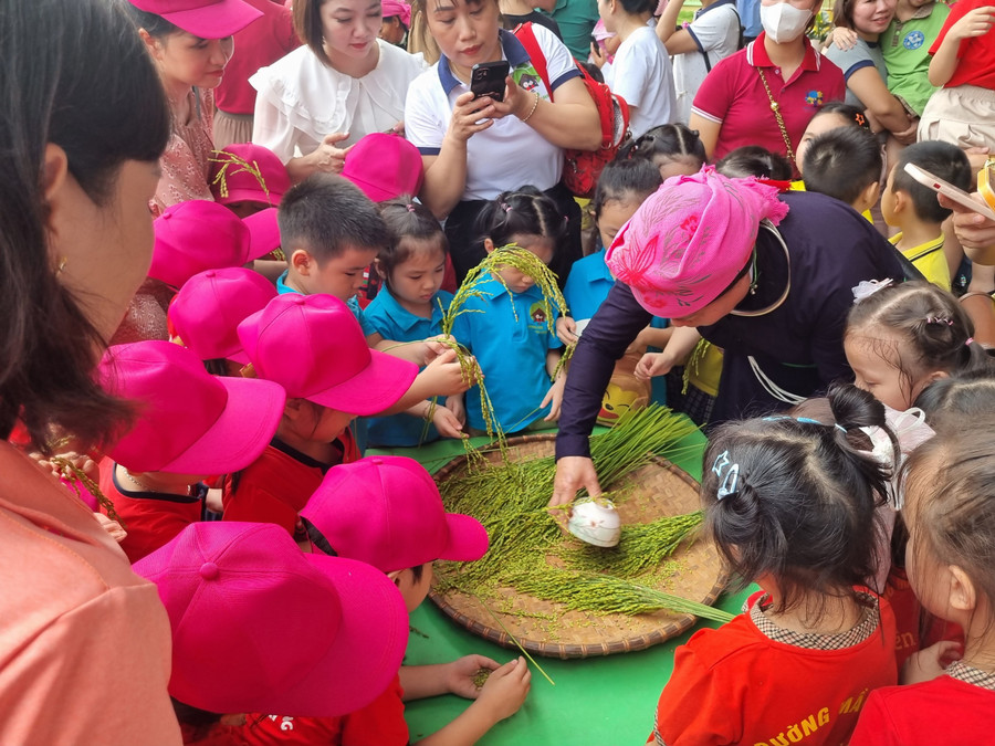 Trẻ học cách tách hạt thóc để làm cốm. Trẻ học cách tách hạt thóc để làm cốm.