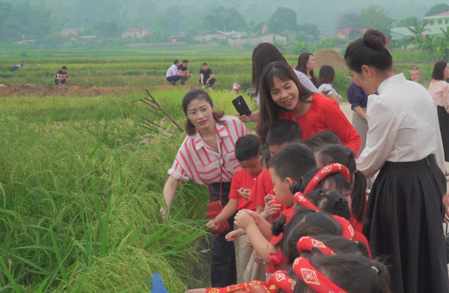 Cô trò thăm cánh đồng. Cô trò thăm cánh đồng.