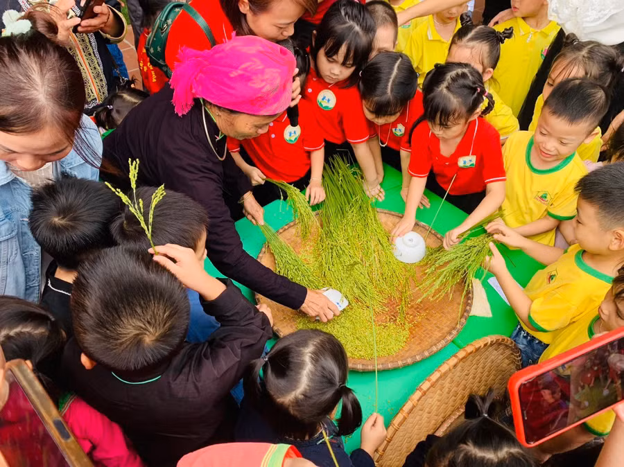 Trẻ mầm non Lào Cai tham gia Ngày hội "Hương cốm mùa thu".