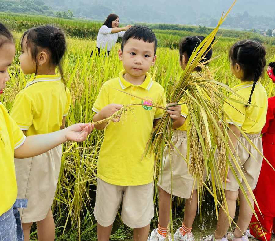 Trẻ thăm quan cánh đồng tại xã Hợp Thành. Trẻ thăm quan cánh đồng tại xã Hợp Thành.