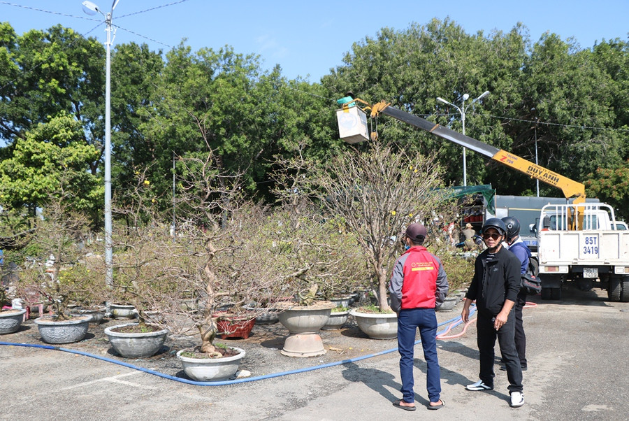 Ninh Thuận: 29 Tết, phố phường tất bật những công việc cuối cùng ảnh 6