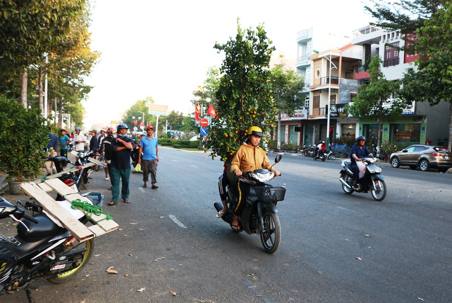 Ninh Thuận: 29 Tết, phố phường tất bật những công việc cuối cùng ảnh 1