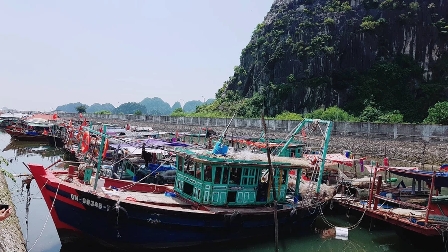 Tàu bè được di chuyển đến nơi trú an toàn, ảnh: CTV