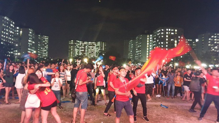 Triệu người xuống đường mừng tuyển Việt Nam vô địch AFF Cup 2018 ảnh 29